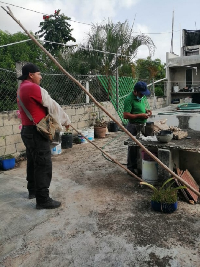 Retiran seis colmenas del techo de una vivienda en Felipe Carrillo Puerto
