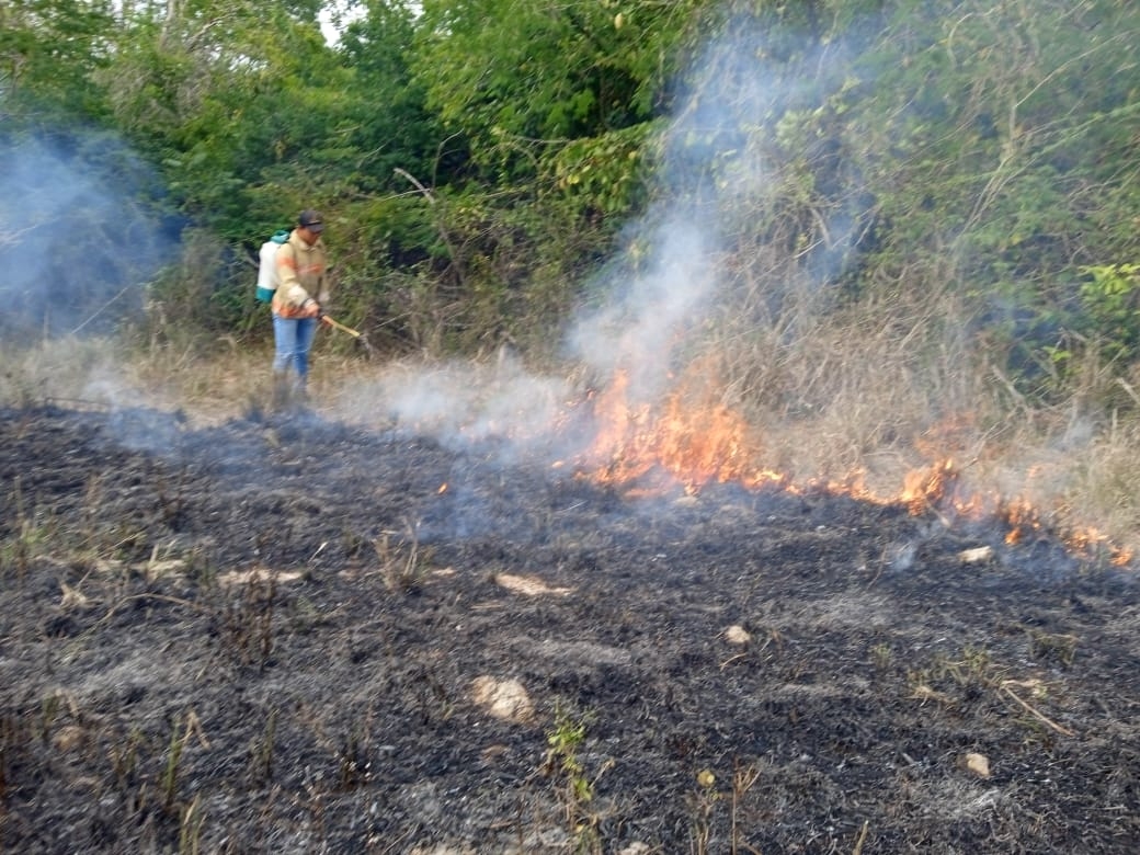 Incendios arrasan más de mil hectáreas de pastizales en el Oriente de Yucatán