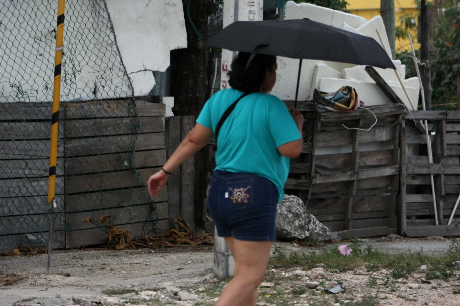 Efectos de la lluvia ácida se verán en los próximos días en Quintana Roo