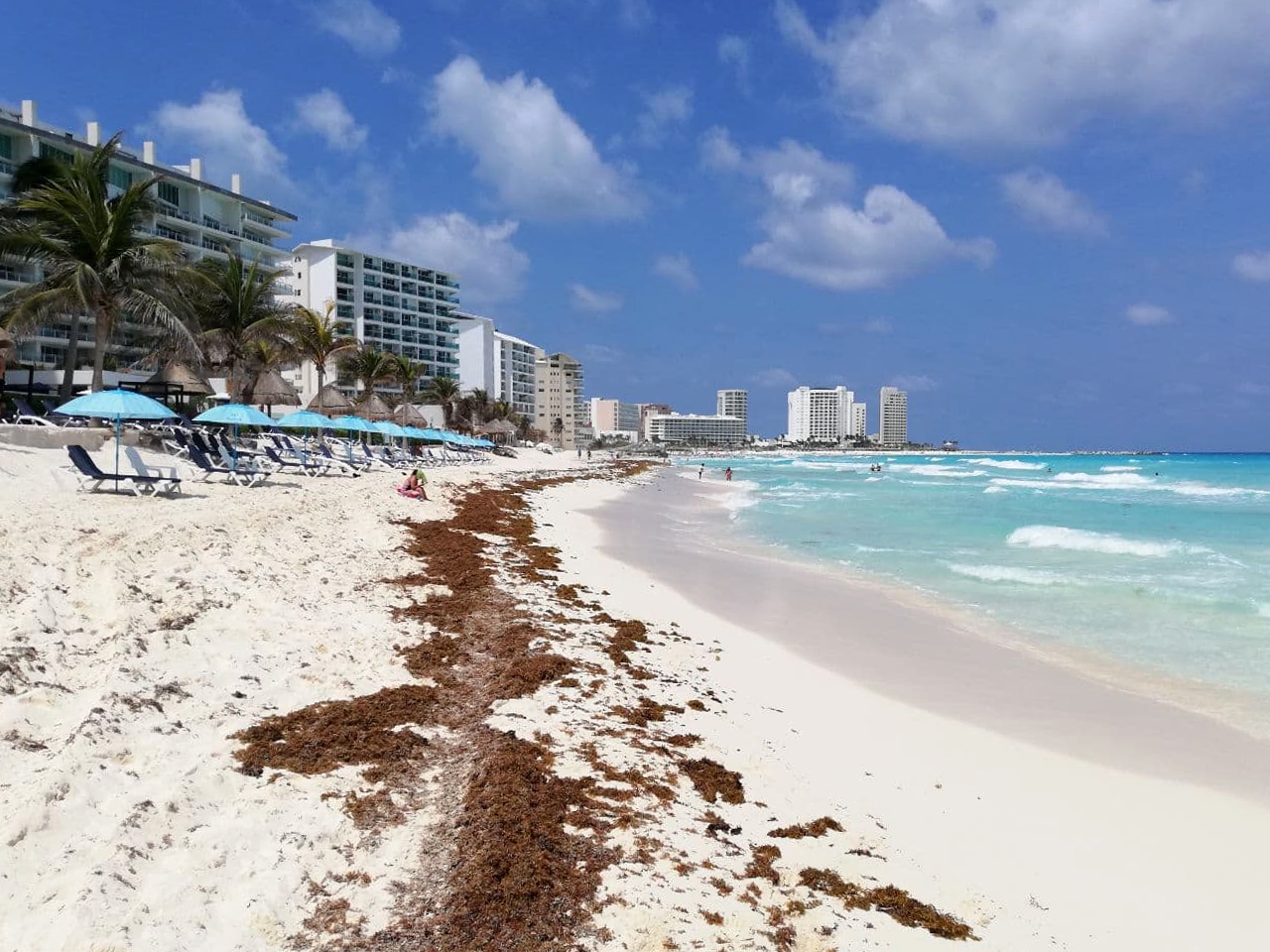 En Cancún, son ocho las que presentan un recale moderado del alga