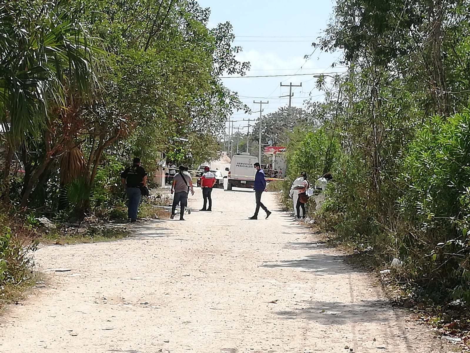 Encuentran a una mujer sin vida en un camino de terracería en Isla Mujeres: EN VIVO