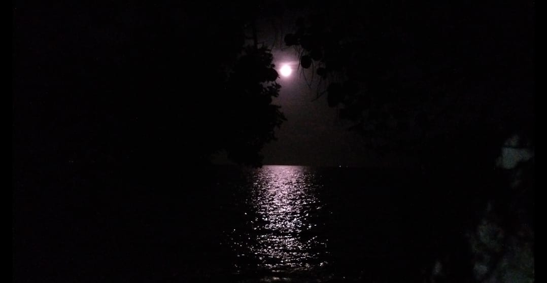 Superluna Rosa acompaña esta noche a los habitantes de Cancún