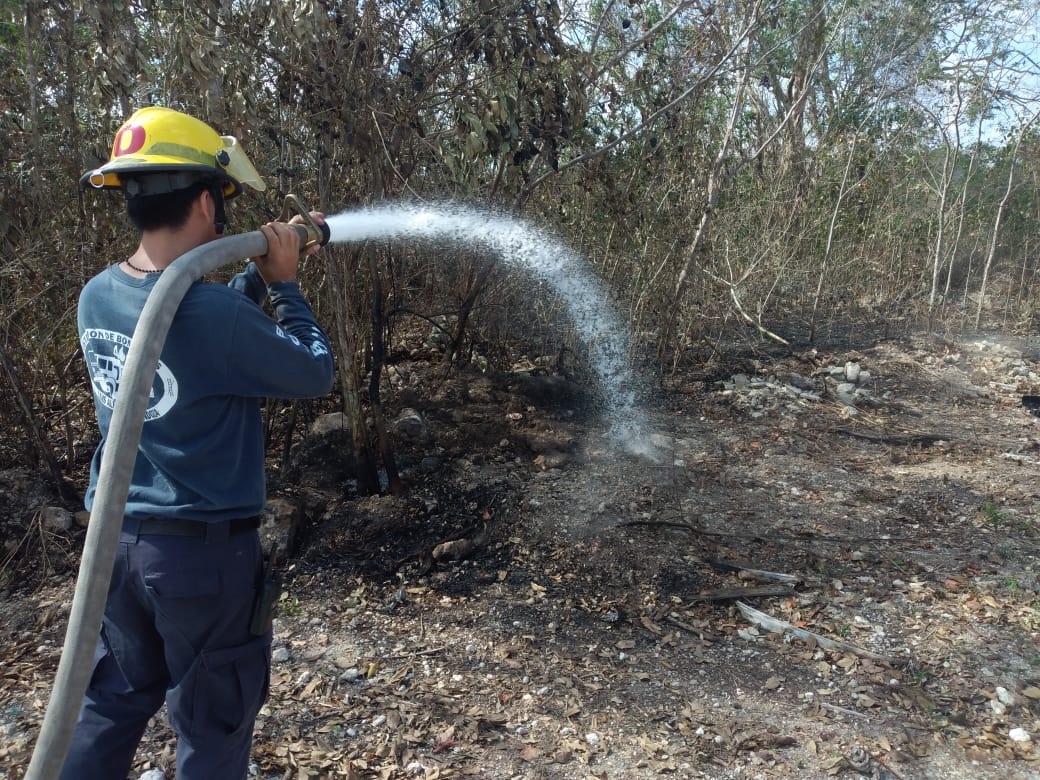 Cuerpo de bomberos evita incendio en un lote baldío en Cozumel