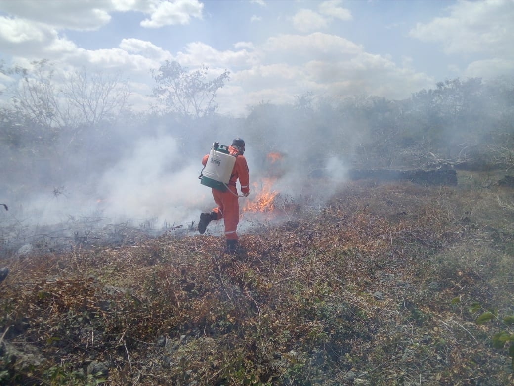 En Yucatán, se registran 4 conatos de incendio al día