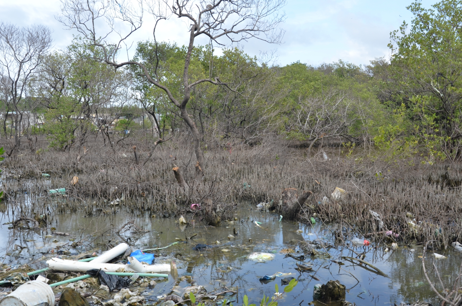 El IMCO puso a Campeche como el estado que peor maneja sus aguas residuales, pues sólo trata 1.4 litros de agua por cada mil habitantes