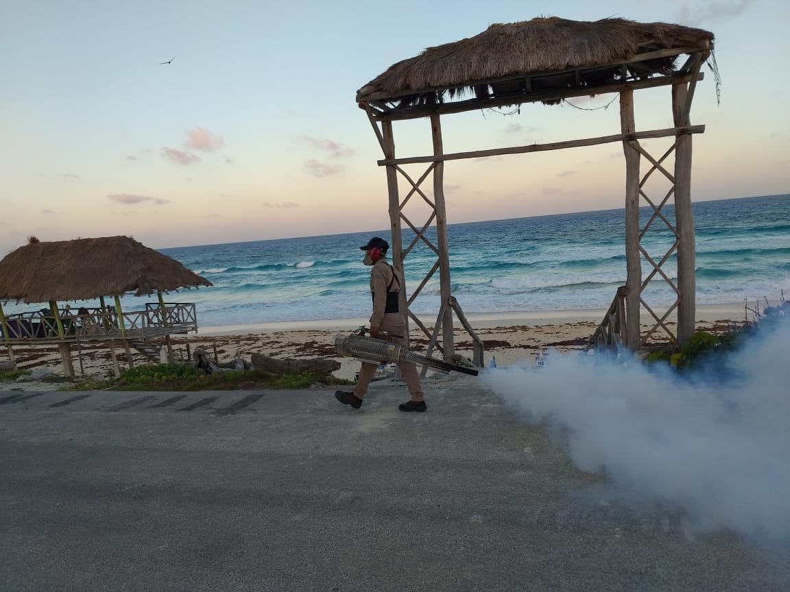 Fumigan playas públicas para prevenir brote de mosquitos en Cozumel
