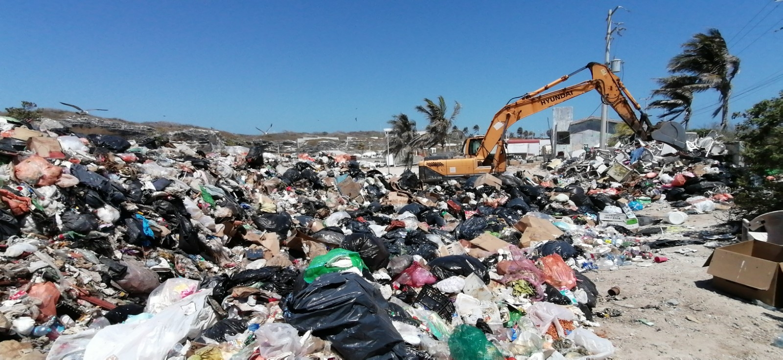 Establecen horario especial para el traslado masivo de basura desde Isla Mujeres