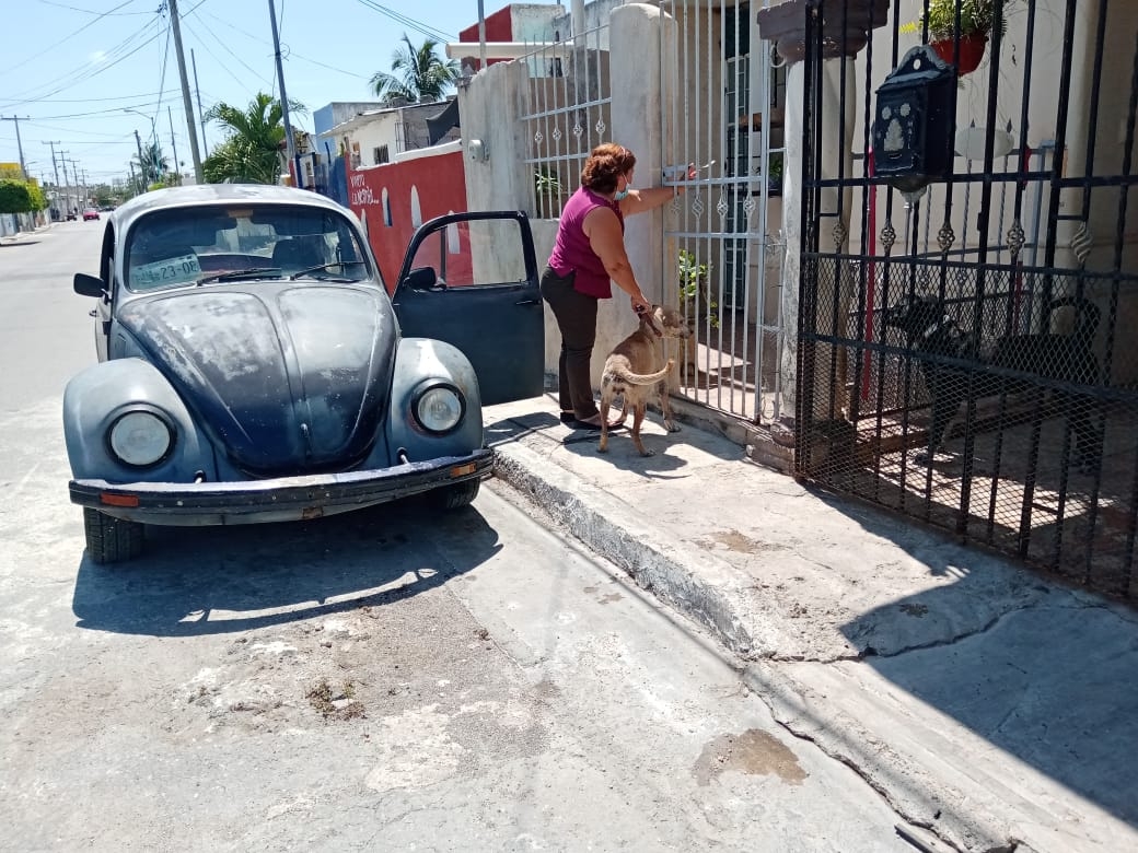 Perro ataca a un albañil en la colonia Presidentes de México en Campeche