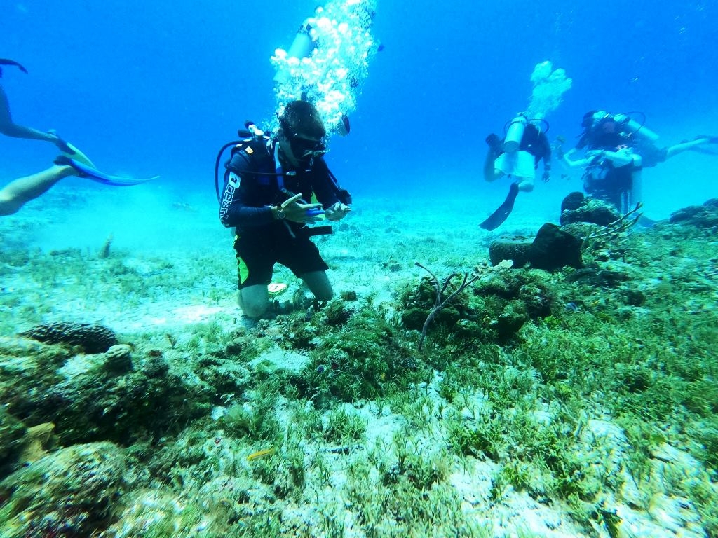 Hallan cubrebocas en el fondo marino de Cozumel