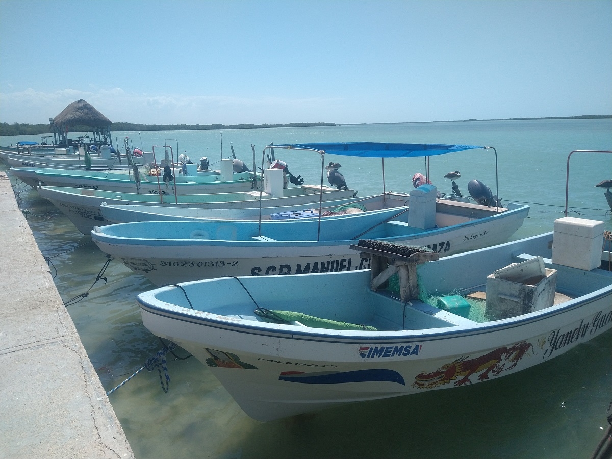 Pescadores en aprietos por baja captura de mero en el litoral oriente de Yucatán