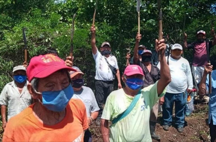 Ejidatarios denuncian venta ilegal de dos mil hectáreas de tierras en Motul