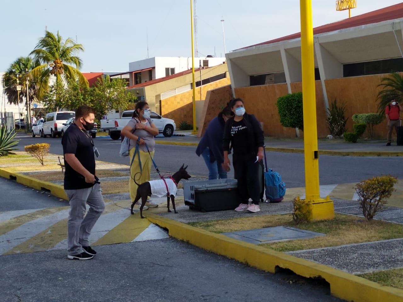 Viajera paga 900 pesos para viajar con su Xoloitzcuintle a Ciudad del Carmen