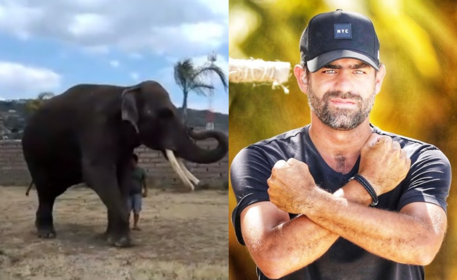 Paola Rolex desmiente maltrato a elefante Big Boy y acusa a Arturo Islas de 'abusivo'