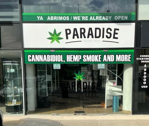 Inauguran Paradise, la tienda que vende productos derivados de marihuana en Playa del Carmen