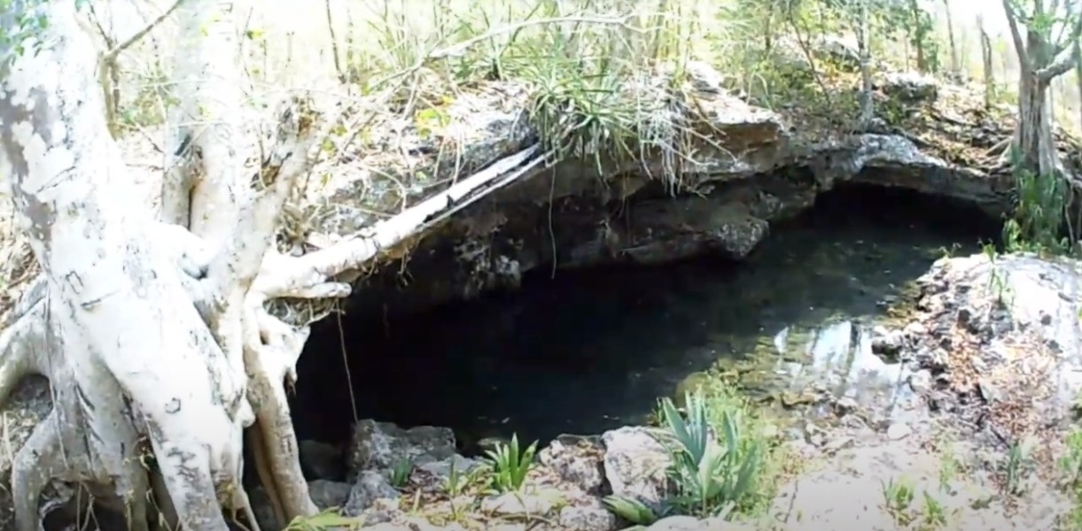 Cenote 'las Tetas' de Seybaplaya, un atractivo voluptuoso en Campeche