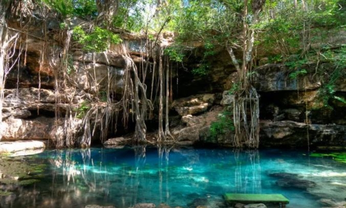 Península de Yucatán, el 'botín verde' de la iniciativa privada