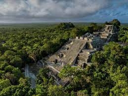 Profepa Campeche confirma deforestación en la biósfera de Calakmul