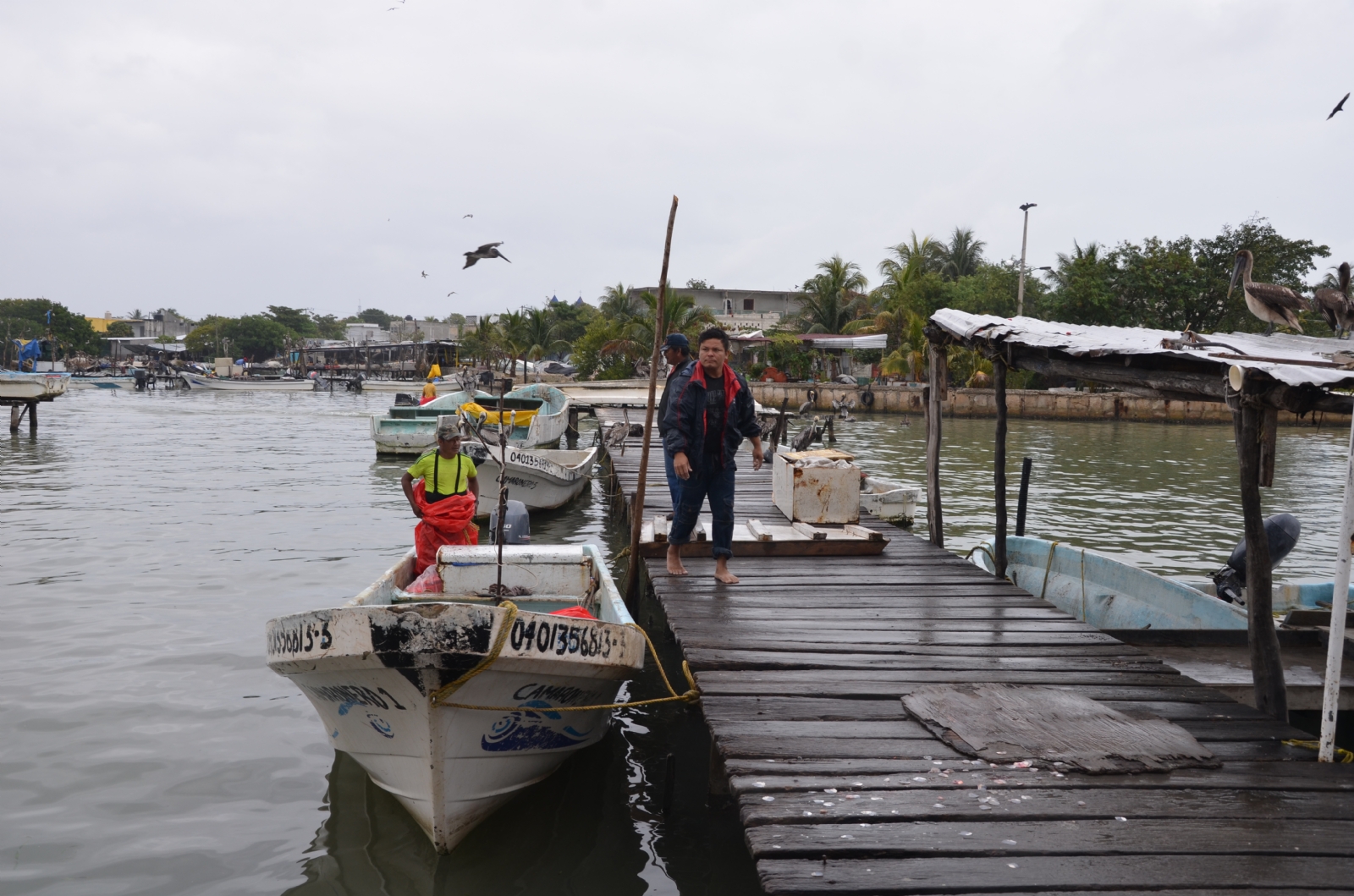 En plena temporada de veda del camarón, se puede apreciar a algunas embarcaciones que se dedican a la pesca ilegal, denuncian pescadores