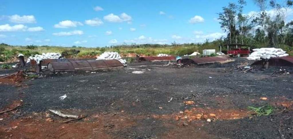 Clausuran hornos de carbón en presuntos terrenos menonitas en Campeche