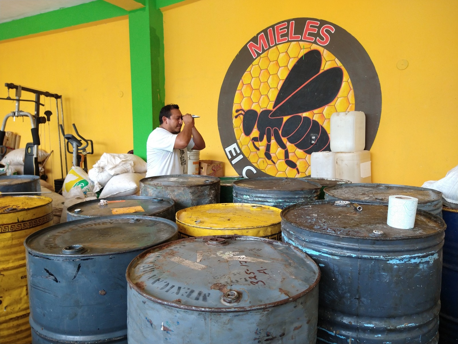 Aumenta el precio de la miel en Peto, Yucatán