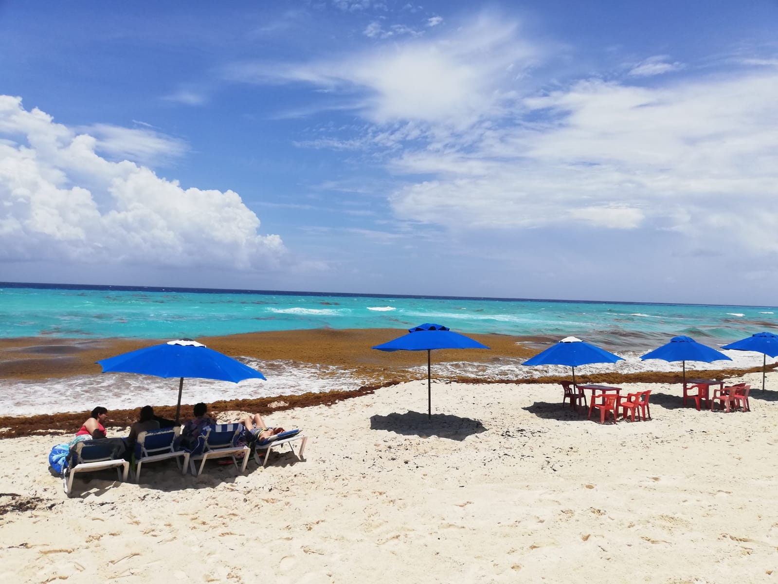 Así se ve el sargazo desde playa Marlín en Cancún: EN VIVO