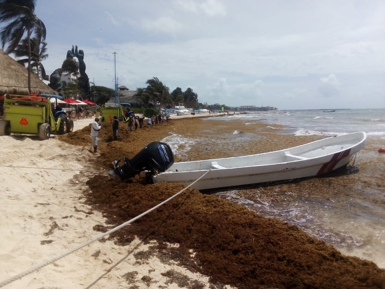 Ayuntamiento de Playa del Carmen gasta más de cinco mdp para combatir el sargazo