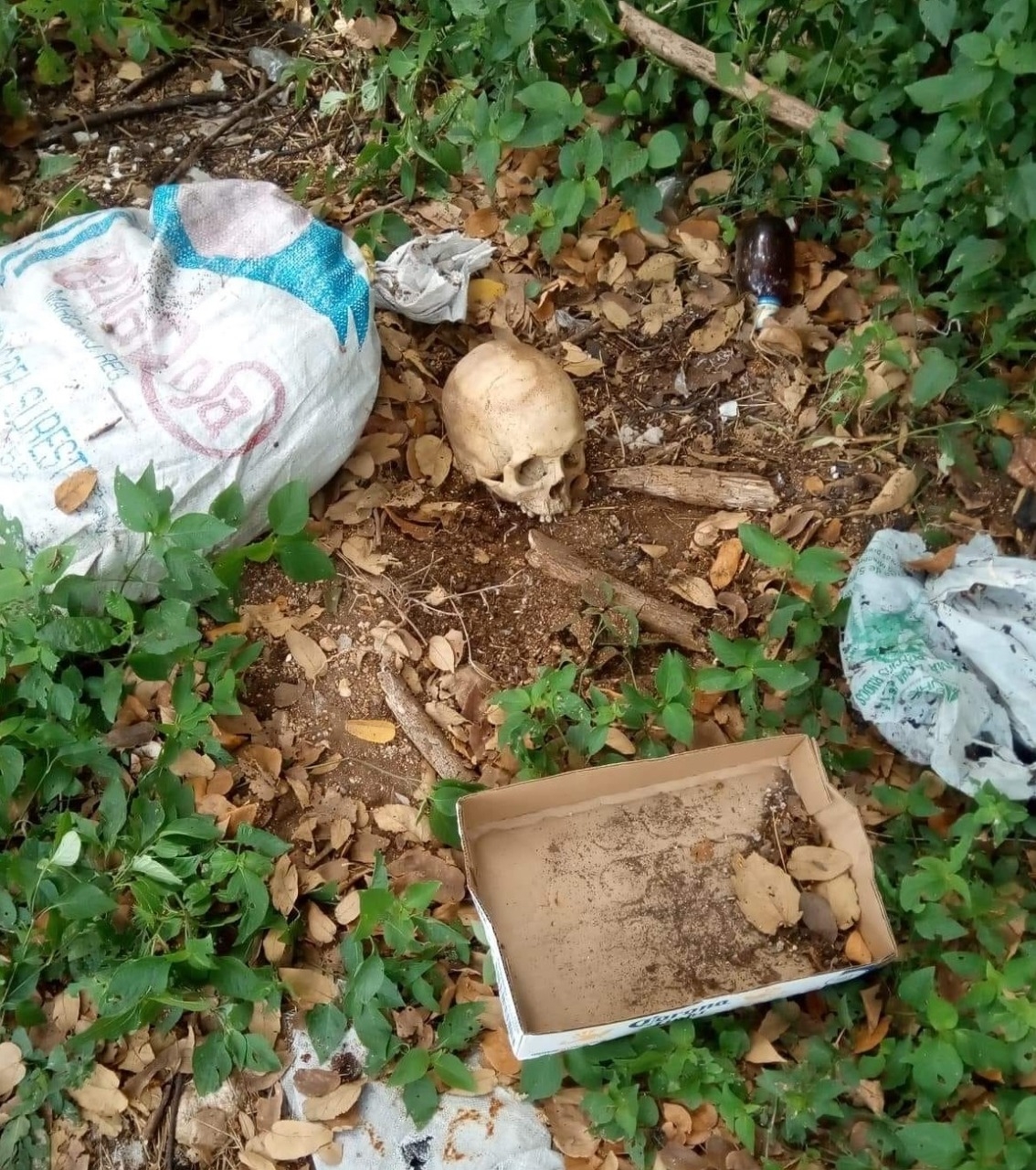 FGE no encontró huellas en el cráneo localizado el pasado miércoles en Chetumal