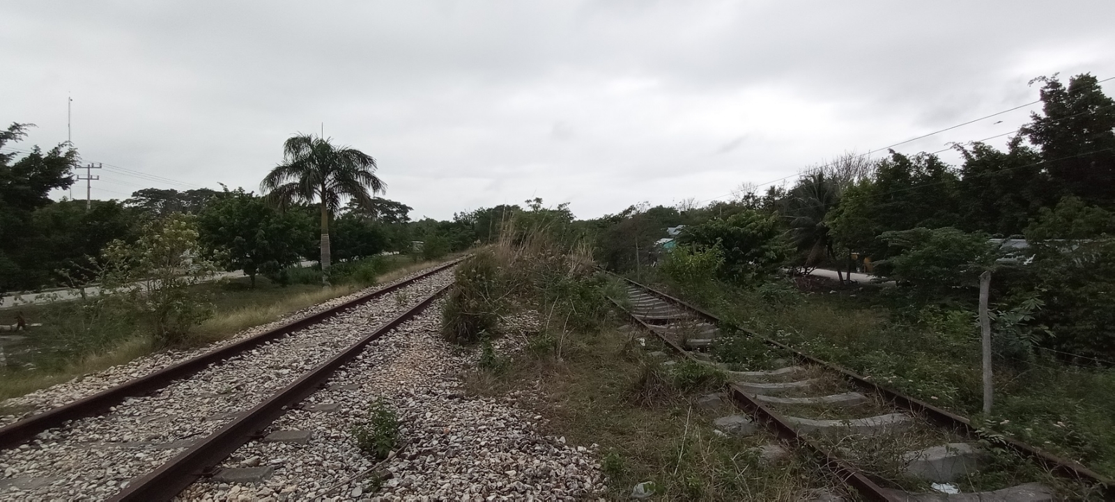 Ejidatarios y comuneros retrasan construcción del Tren Maya en Campeche