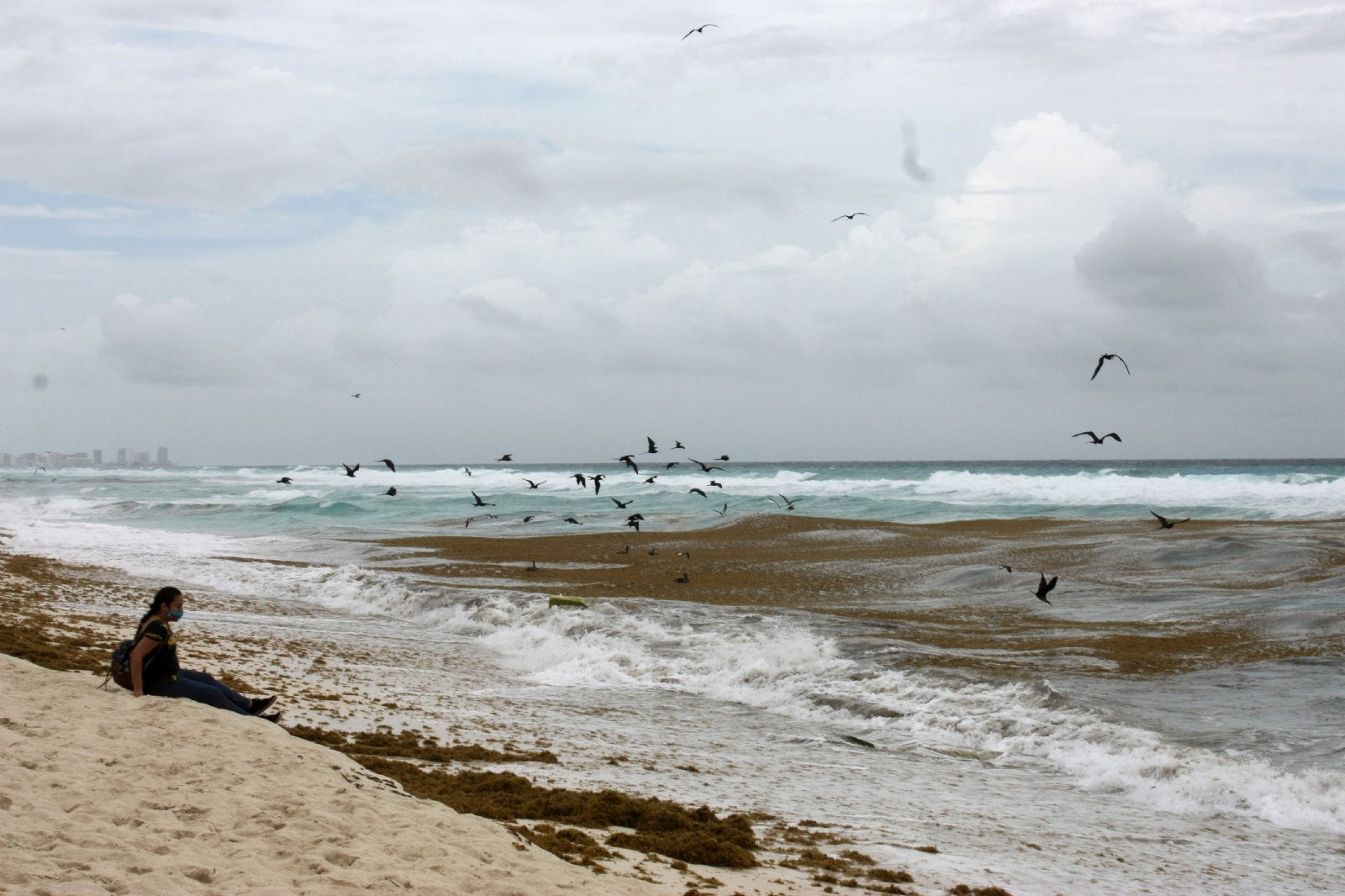 Sargazo en Cancún: Depositan toneladas de la macroalga en predio de Cancún