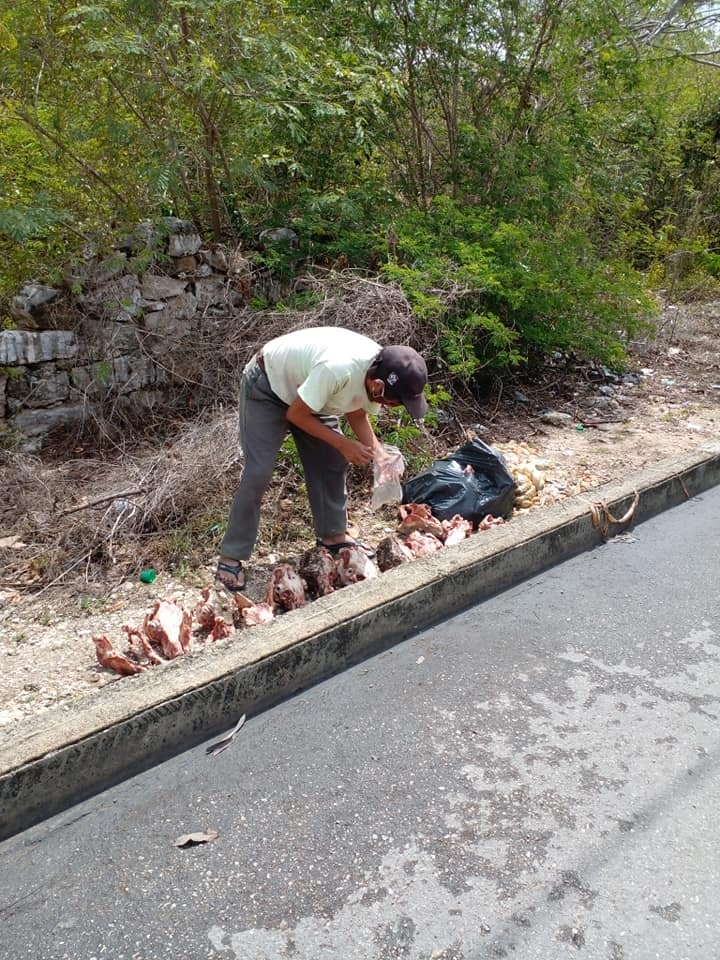 FGE investigan restos de animales encontrados en Ciudad Caucel y Kanasín