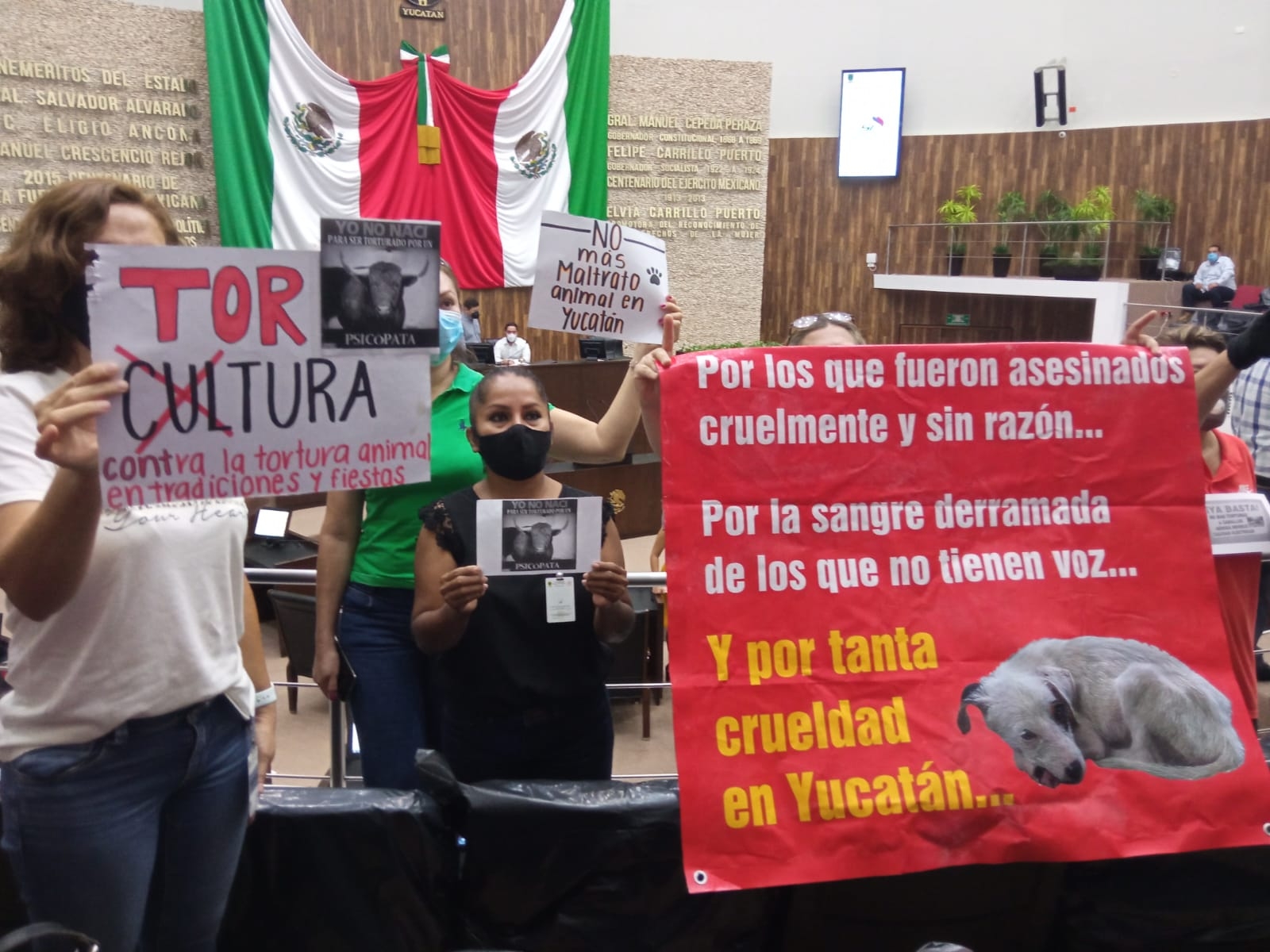 Activistas rechazan que calesas sean consideradas Patrimonio Cultural en Yucatán