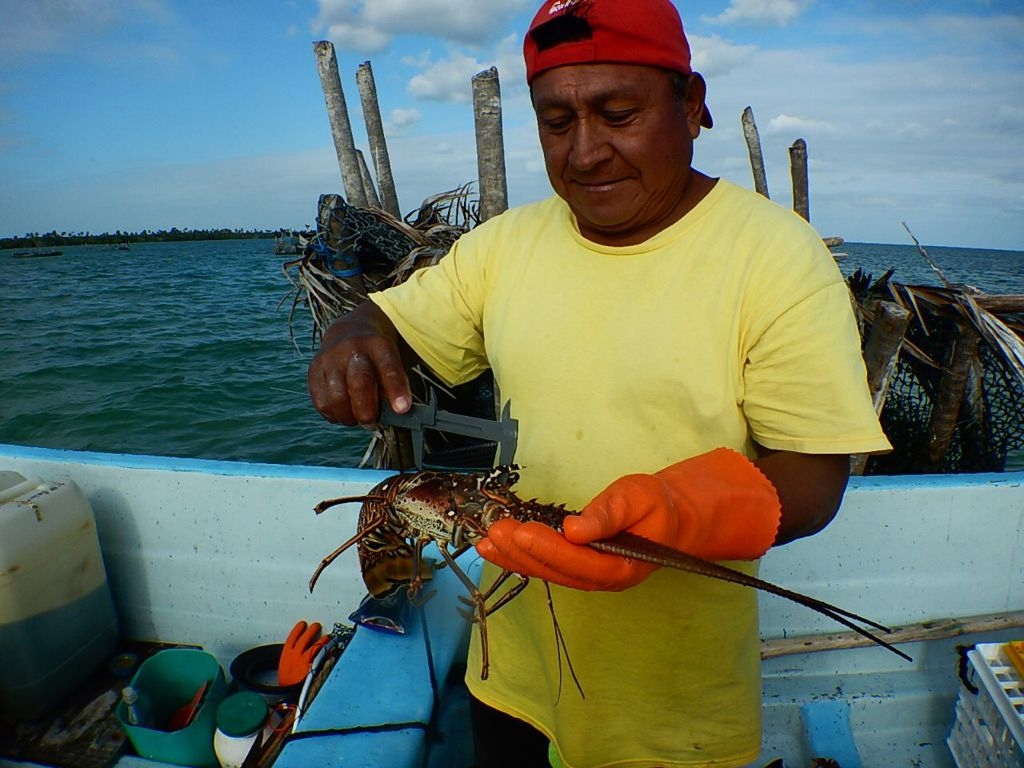 Ingresos por pesca en Yucatán, más redituables que lo obtenido por Campeche: Conapesca