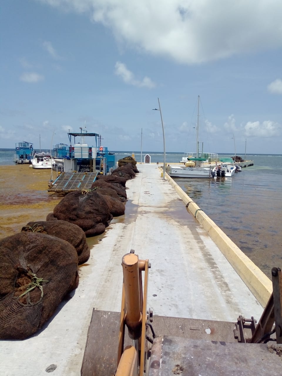 Maquinaria pesada busca 'salvar' las playas de Mahahual del sargazo: VIDEO