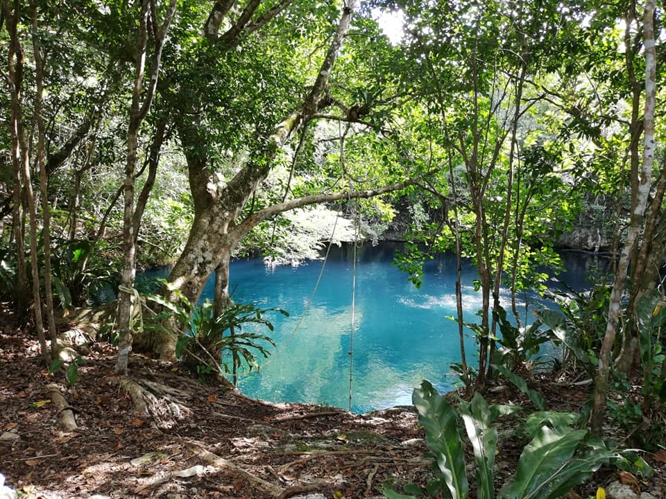 Cenote Angelita, el único con un 'río submarino' en Tulum: VIDEO