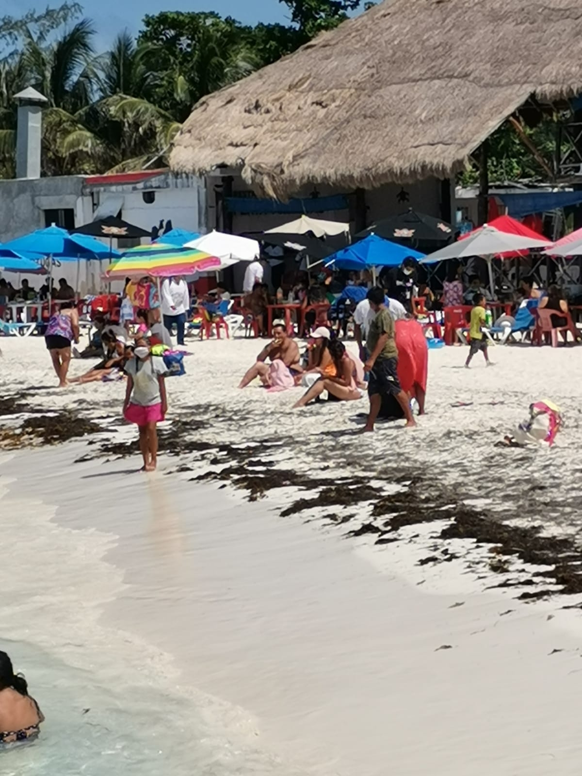 Se registran más de 200 bañistas en Playa Tortugas de Cancún: EN VIVO