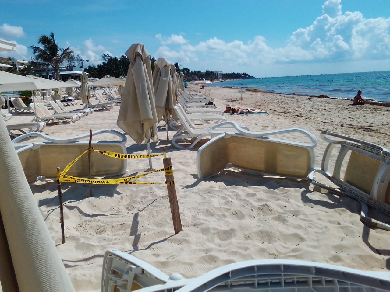Autoridades, desinteresadas en desove de tortuga marina en Playa del Carmen
