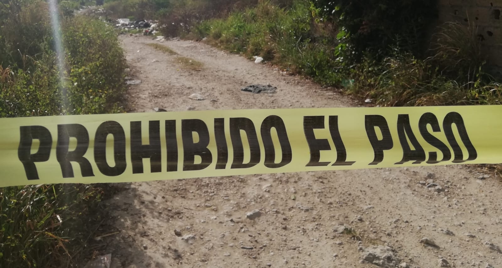 Encuentran cráneo humano en la Región 260 de Cancún