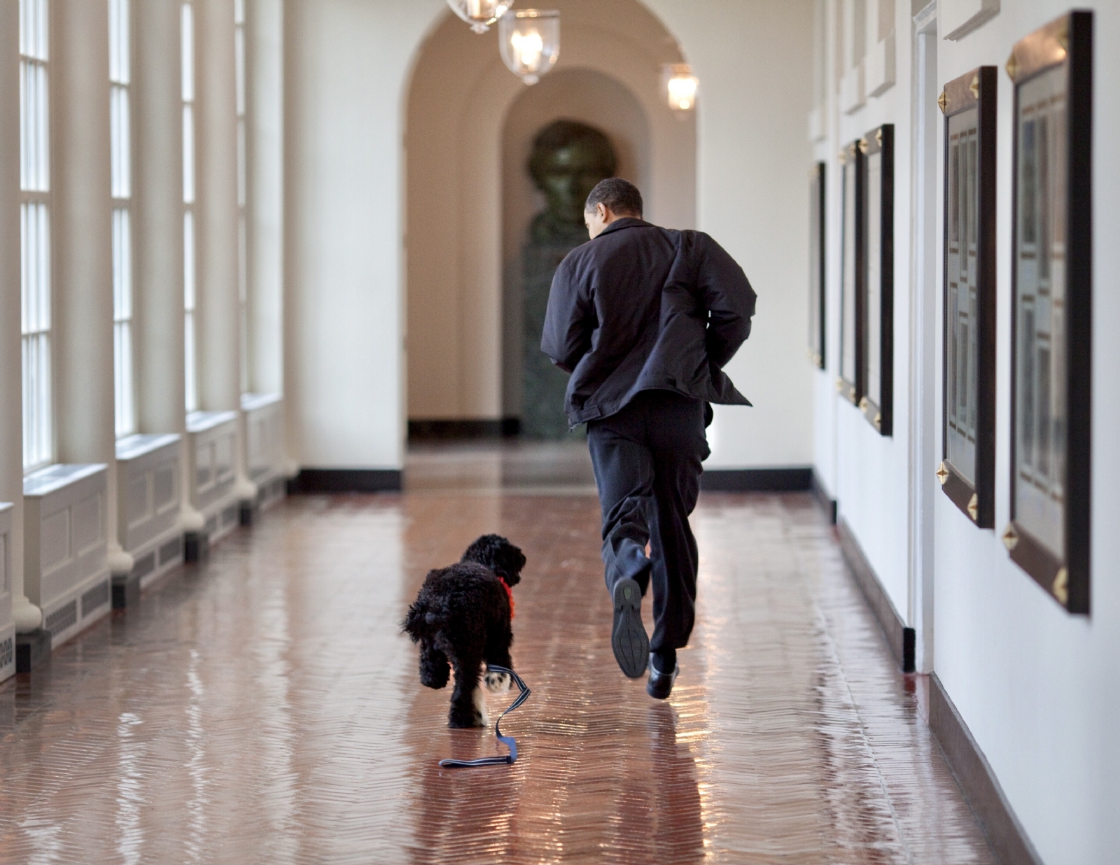 Barack Obama se despide de Bo, el perrito que lo acompañó en la Casa Blanca