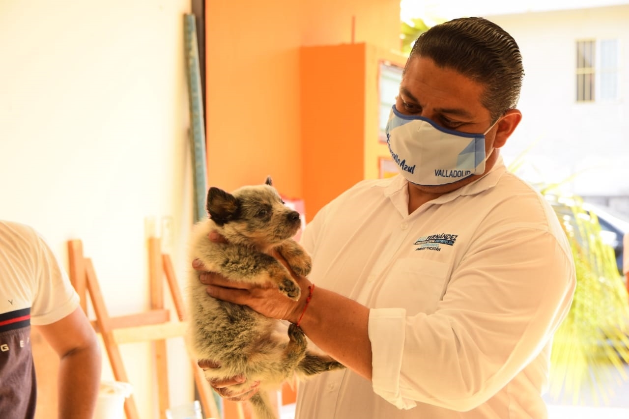 Elecciones Yucatán: Luis Fernández legislará a favor de la protección de animales