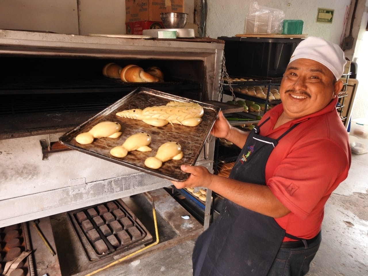 Tortuconcha: Panadero de Chetumal creó esta delicia que se volvió viral en TikTok