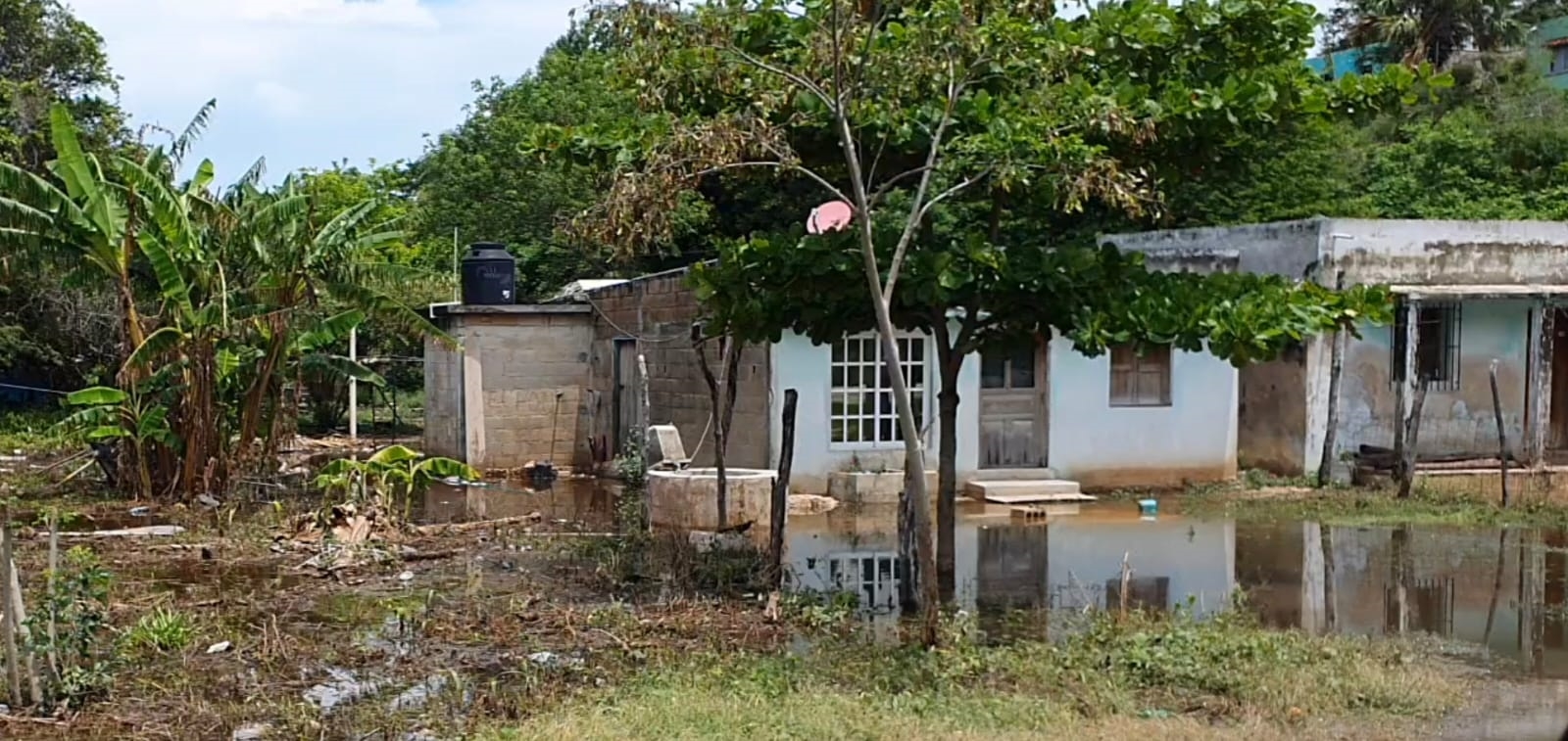 Tormenta tropical ‘Grace’: Identifica los refugios temporales más cercanos de Campeche
