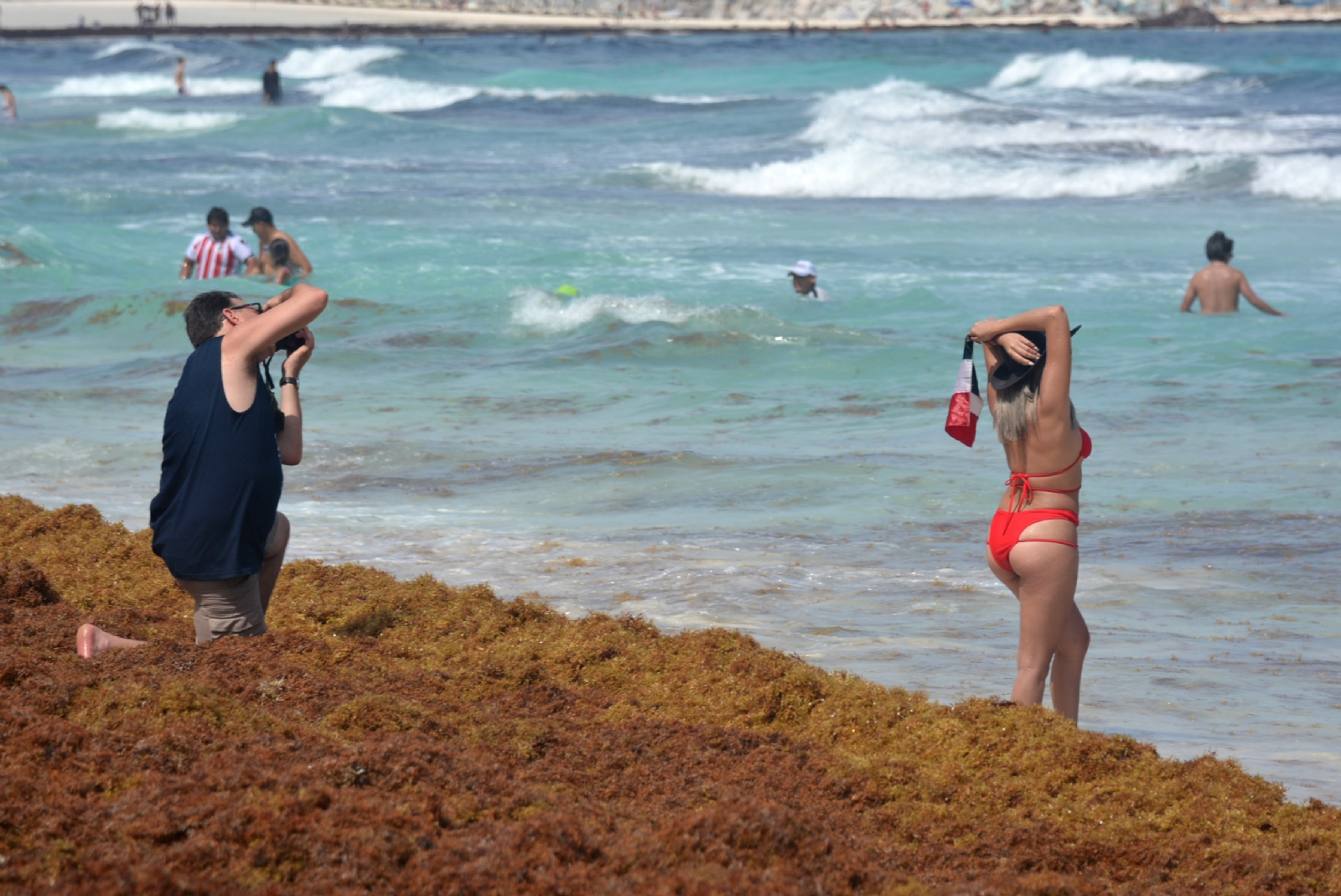 Recale masivo de sargazo 'ahoga' 41 playas de Quintana Roo