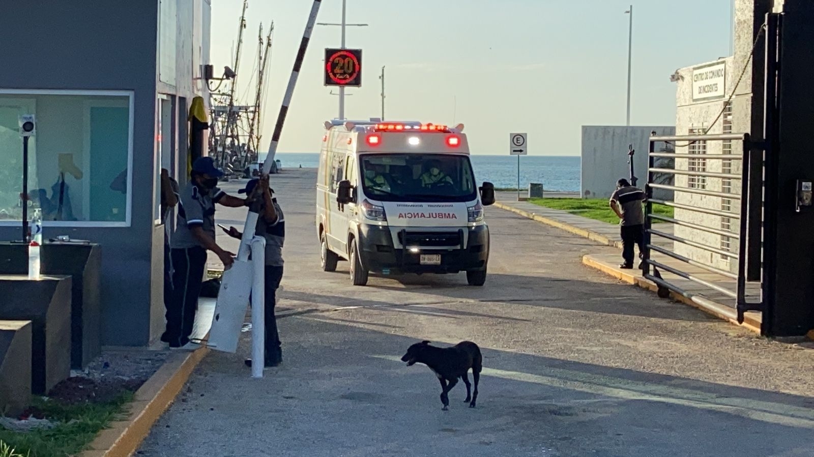 Hombre muere ahogado tras accidente en barco camaronero en muelle de la API Campeche