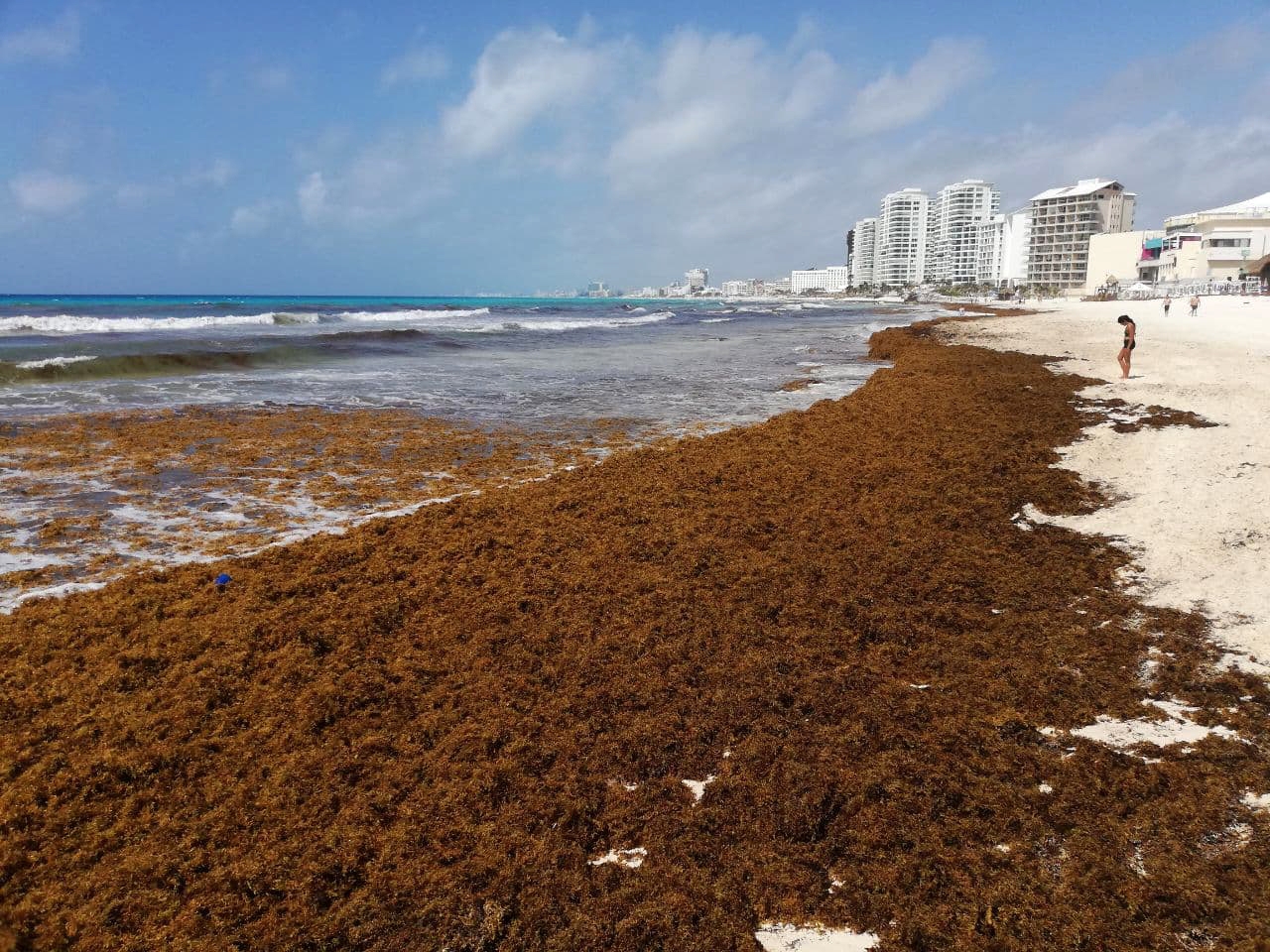 Algunas de las playas de Cancún se han visto con afectaciones por la llegada de manchas de sargazo