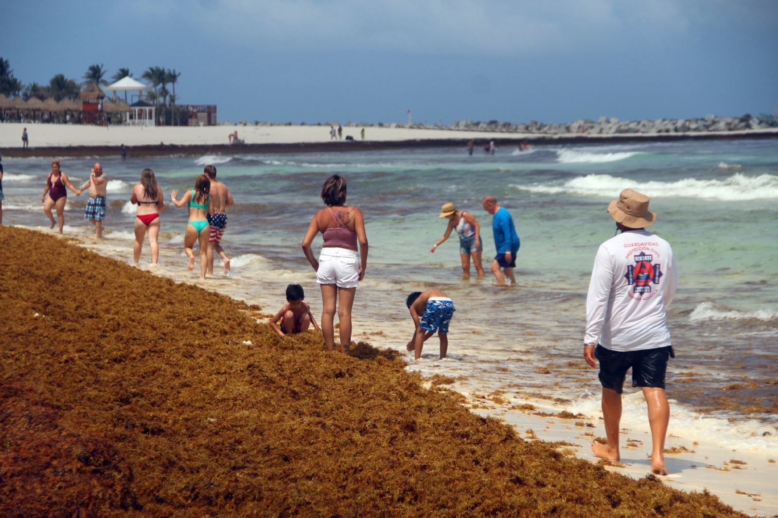 Cancún, la Riviera Maya y Cozumel registraron playas con recale excesivo de sargazo, según la Red de Monitoreo de la macroalga en Quintana Roo