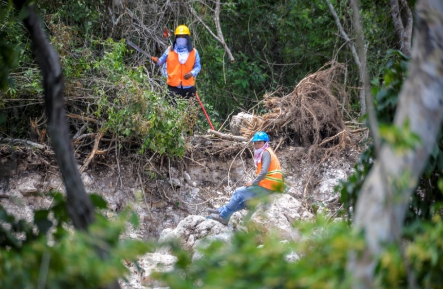 Activista pide revisar impacto ambiental del Tren Maya en Yucatán