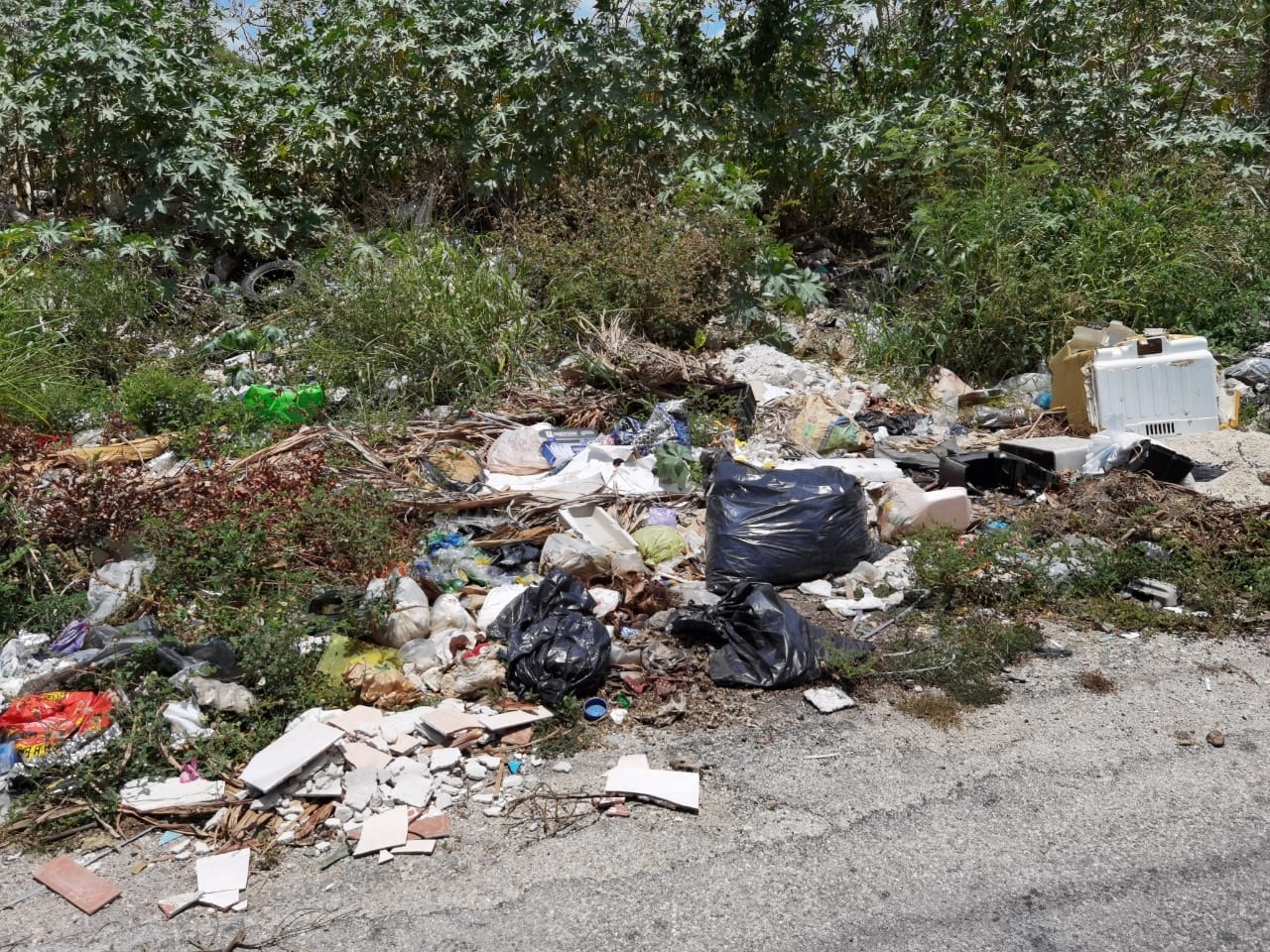 Recoja de basura en Campeche supera las 200 toneladas diarias