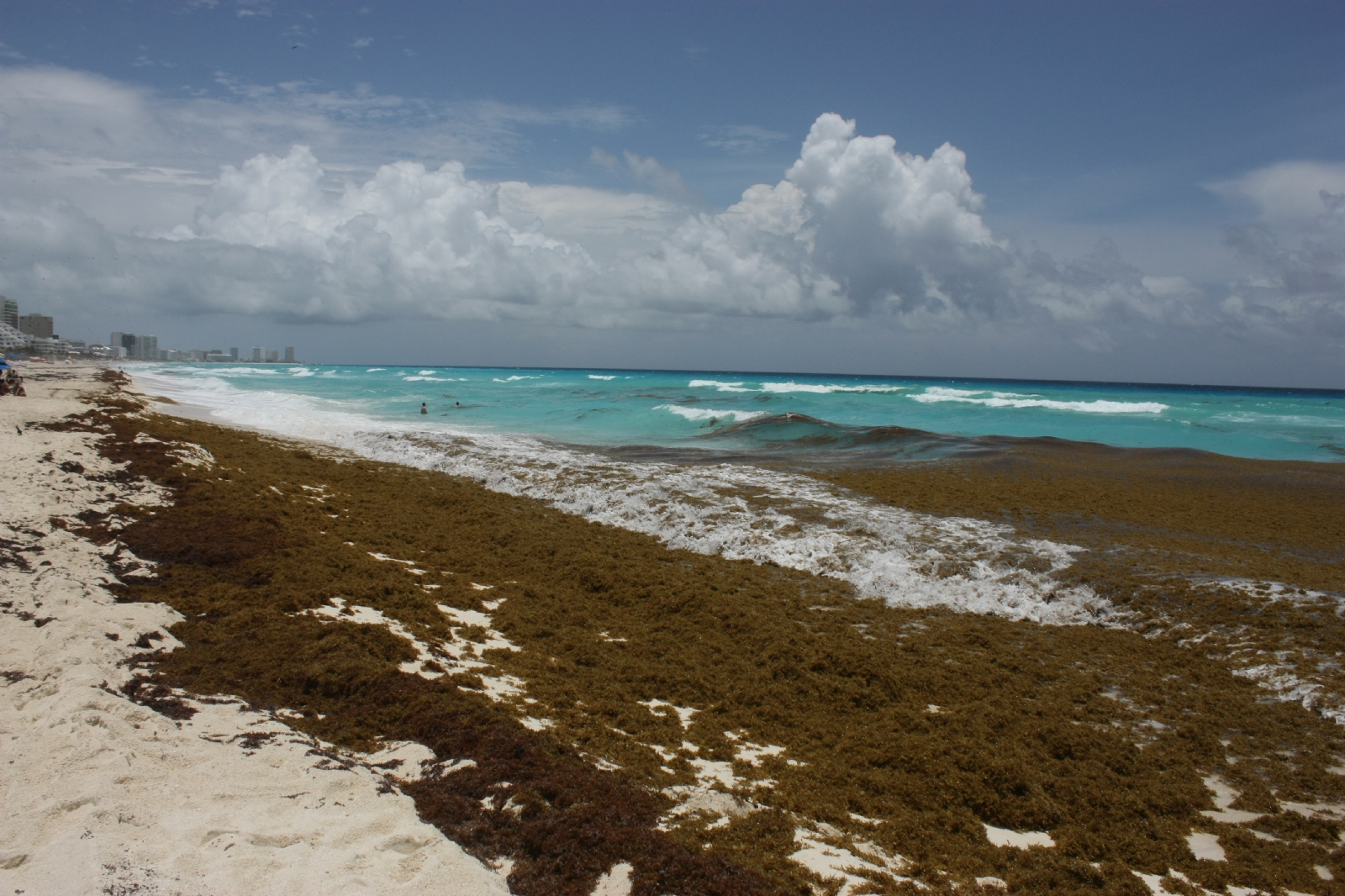 En la zona norte de Quintana Roo, son poco más de 40 playas las que presentan una cantidad excesiva de sargazo