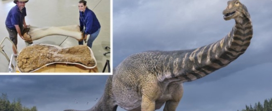 Identifican restos óseos de dinosaurio gigante en Australia