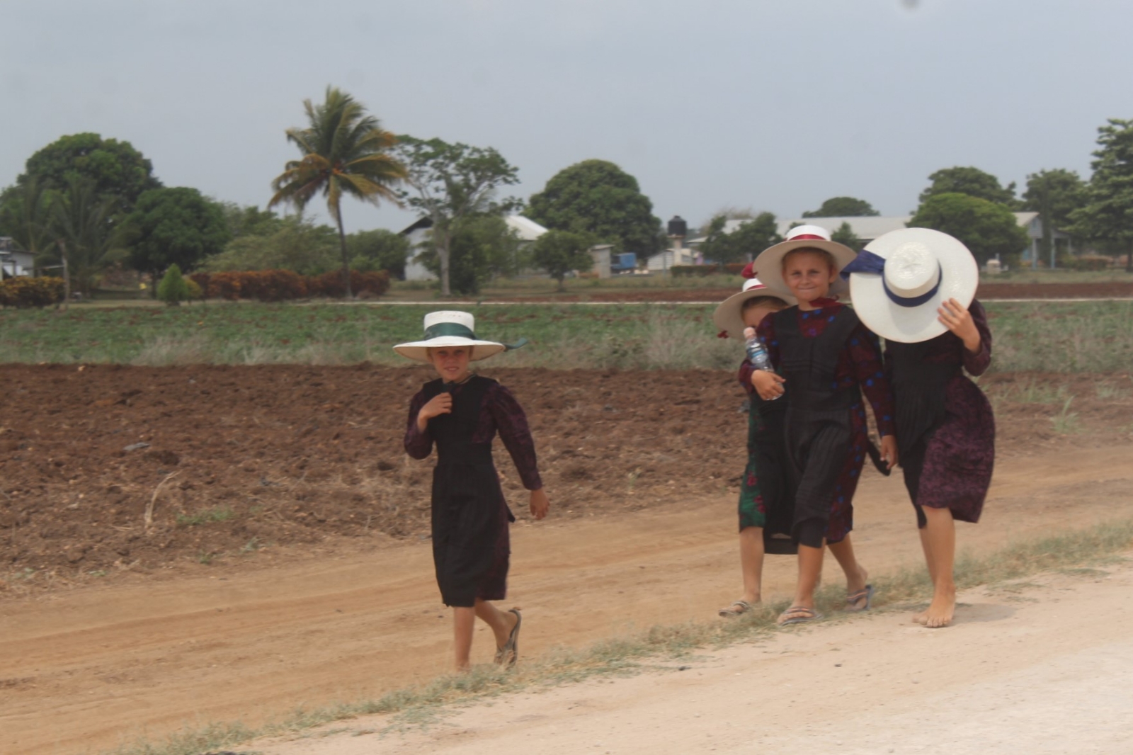 Así es el estilo de vida y trabajo de los menonitas en Quintana Roo